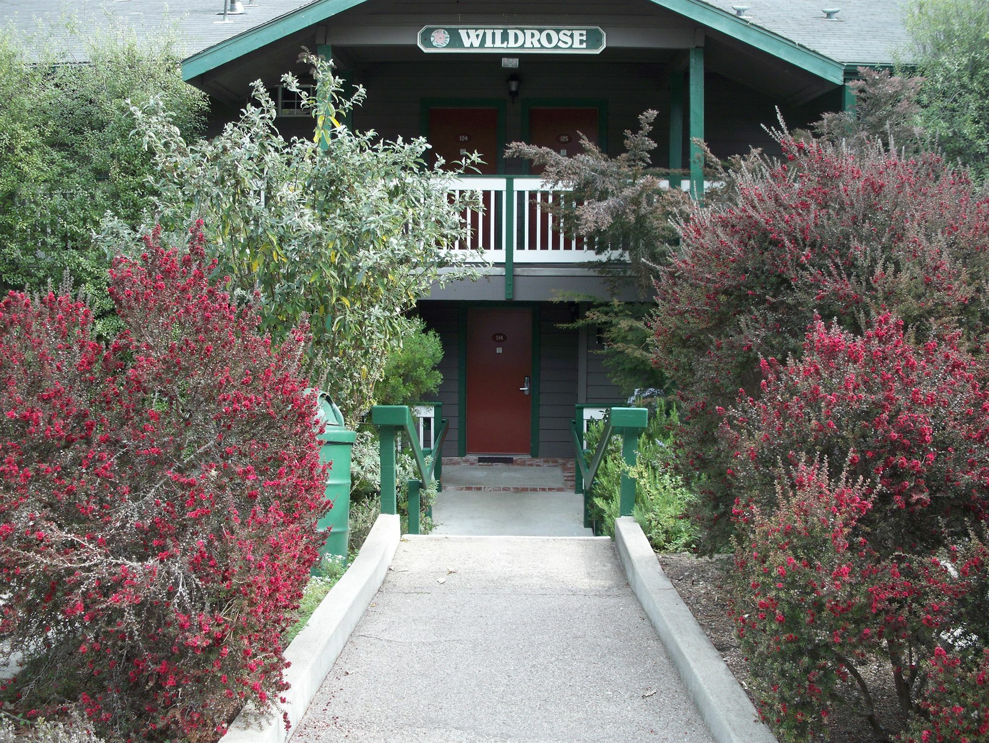 Cambria Pines Lodge Exterior foto